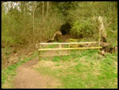 The entrance to the woodland .
