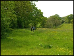 This meadow was walked through just before the cricket ground was reached .