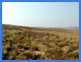 One of the poles to guide walkers over moorland .