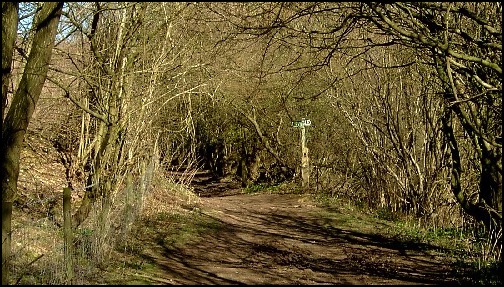 The Cotswold Way - Just north of Seven Springs.