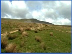 The view looking back at Whernside .