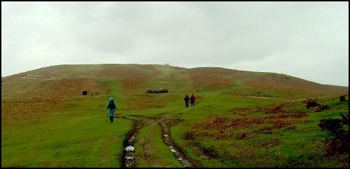 Nearing the top of Hergest Ridge - the first ascent of the day.