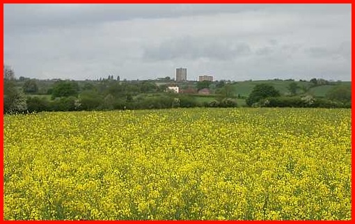 Dark clouds, rape seed oil and the flats at Lillington as seen to the west of our route
