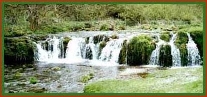 Waterfall in Lathkill Dale